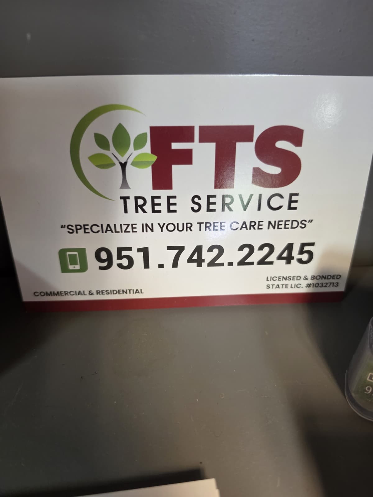 ETS Tree Service project photo